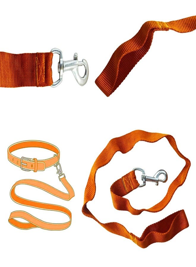 DIY Crafts Pack of 3 Pcs, Orenge, Collar Belt Chain & Leash for Puppies, Dogs (Pack of 3 Pcs, Orenge) - Image 1